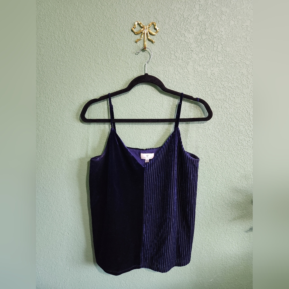 Socialite Blue Sleeveless Camisole with Spaghetti Straps